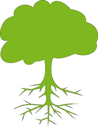 Roots