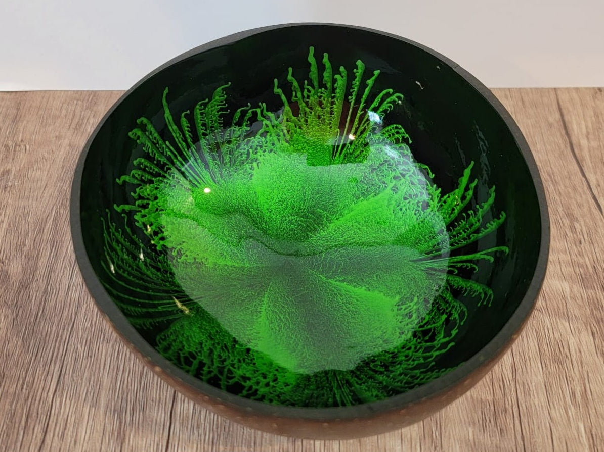 Nauti Coconut Polished Decorative Bowl