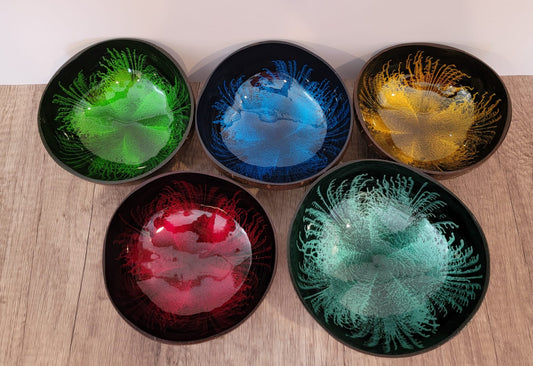 Nauti Coconut Polished Decorative Bowl