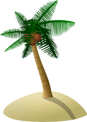 Coconut Tree