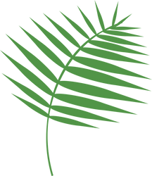 Coconut Frond