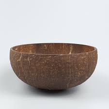 Nauti Coconut Bowl